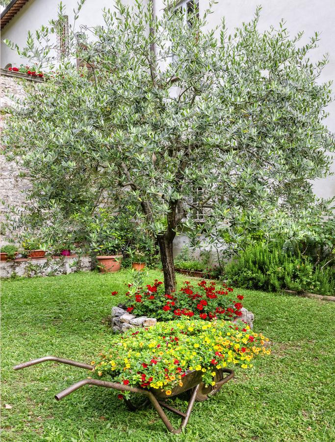 Hotel Casa Diocesana Di Lucca Dış mekan fotoğraf