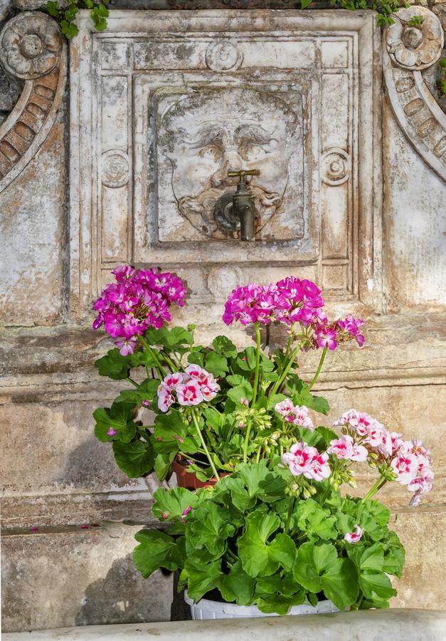 Hotel Casa Diocesana Di Lucca Dış mekan fotoğraf